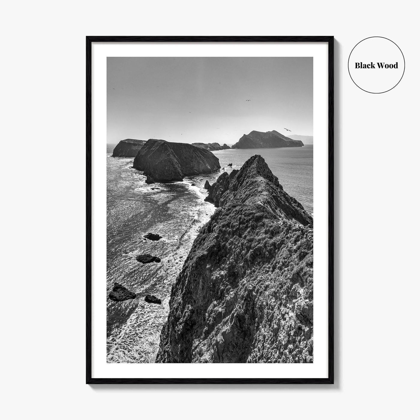 Anacapa Island Black and White Fine Art Photo Print, Channel Islands Poster, California Poster