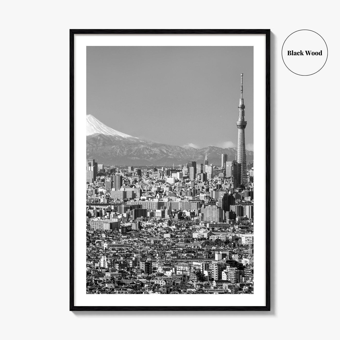 Tokyo Skyline Black and White Fine Art Photo Print, Mt Fuji Skytree Japan Poster