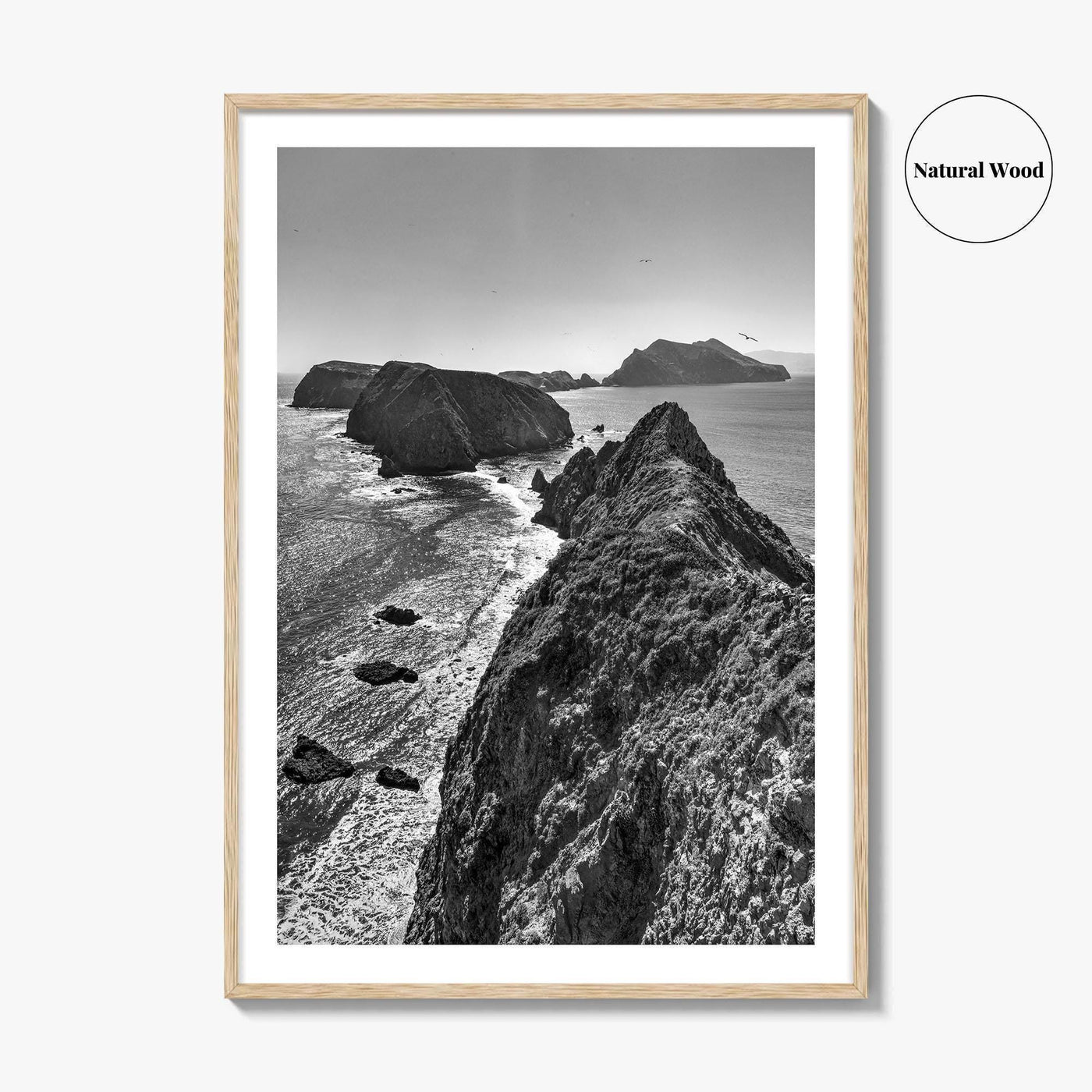 Anacapa Island Black and White Fine Art Photo Print, Channel Islands Poster, California Poster
