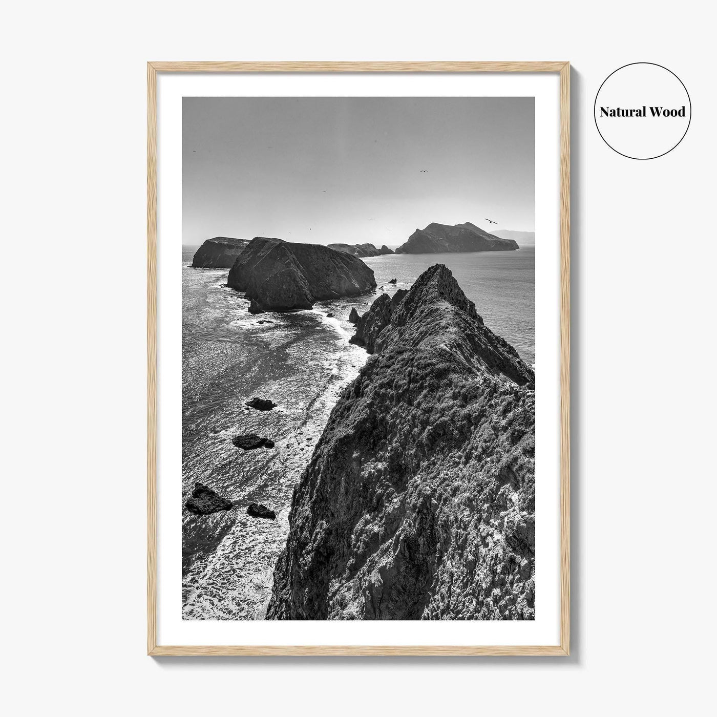 Anacapa Island Black and White Fine Art Photo Print, Channel Islands Poster, California Poster