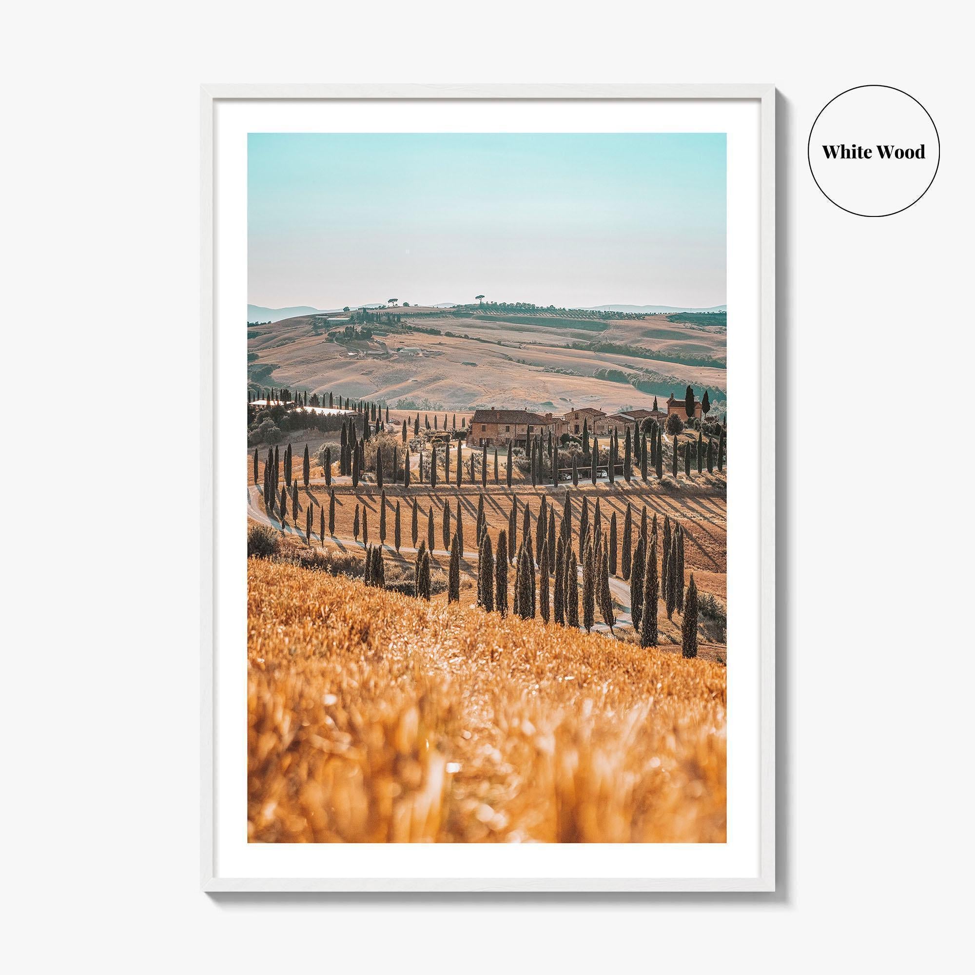 Tuscany Fine Art Photo Print, Agriturismo Baccoleno, Val d'Orcia, Italy Wall Poster