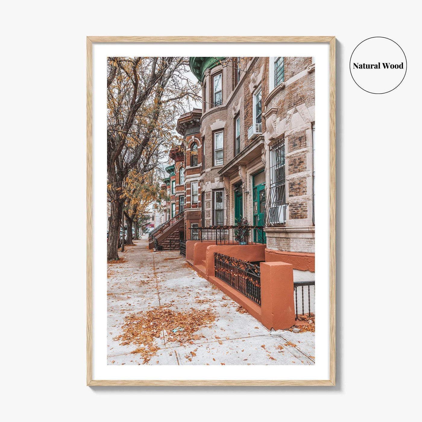 The Bronx Fine Art Photo Print, New York City NYC, Brownstone Houses Poster