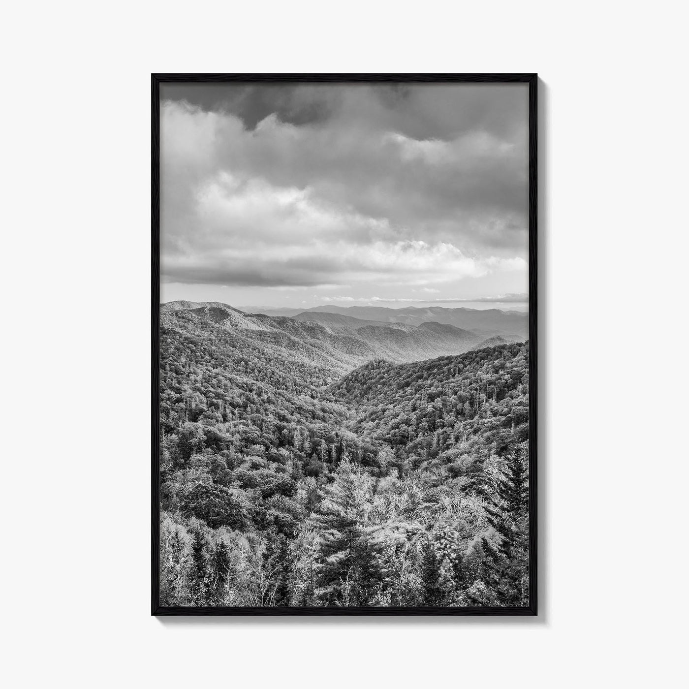 Great Smoky Mountains Black and White Fine Art Photo Print, Tennessee Poster