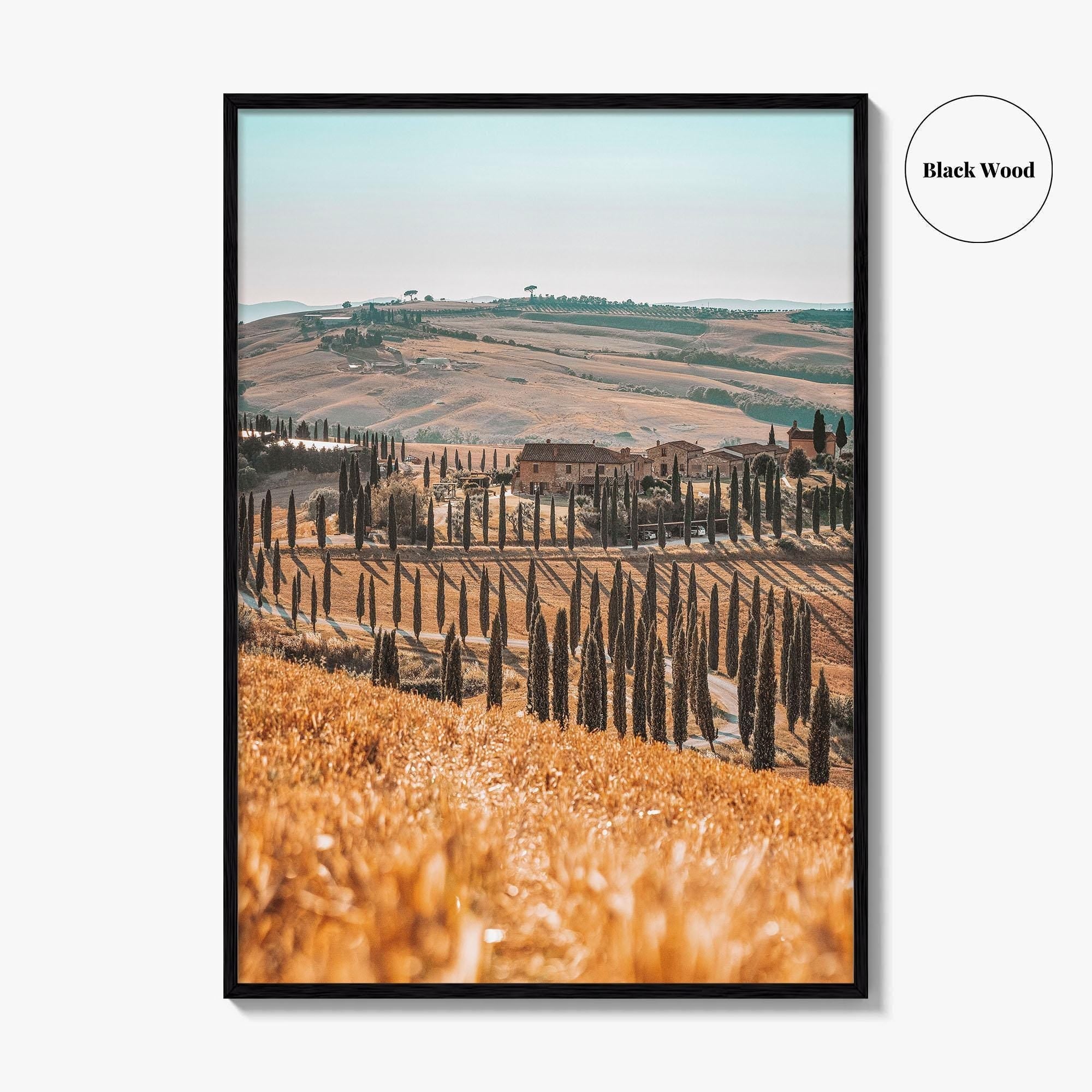 Tuscany Fine Art Photo Print, Agriturismo Baccoleno, Val d'Orcia, Italy Wall Poster
