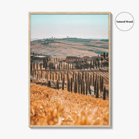 Tuscany Fine Art Photo Print, Agriturismo Baccoleno, Val d'Orcia, Italy Wall Poster