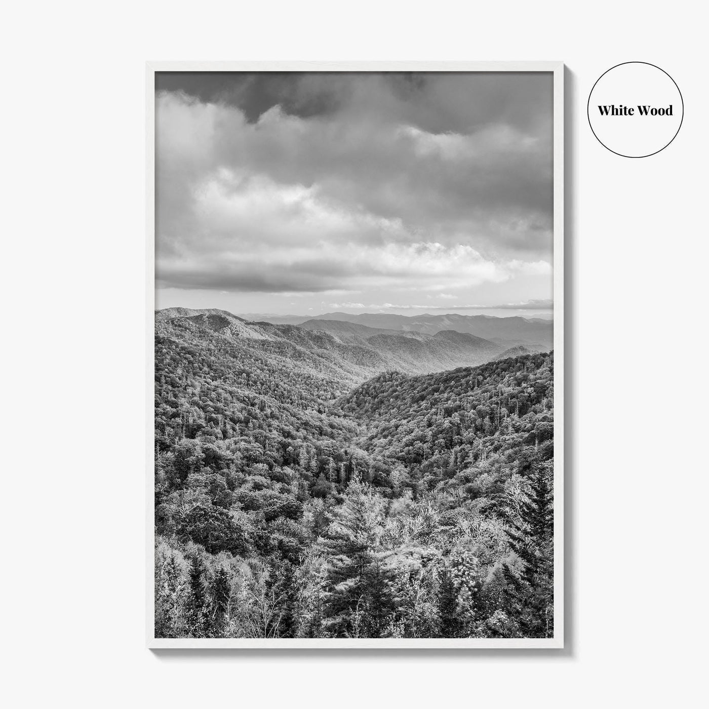 Great Smoky Mountains Black and White Fine Art Photo Print, Tennessee Poster