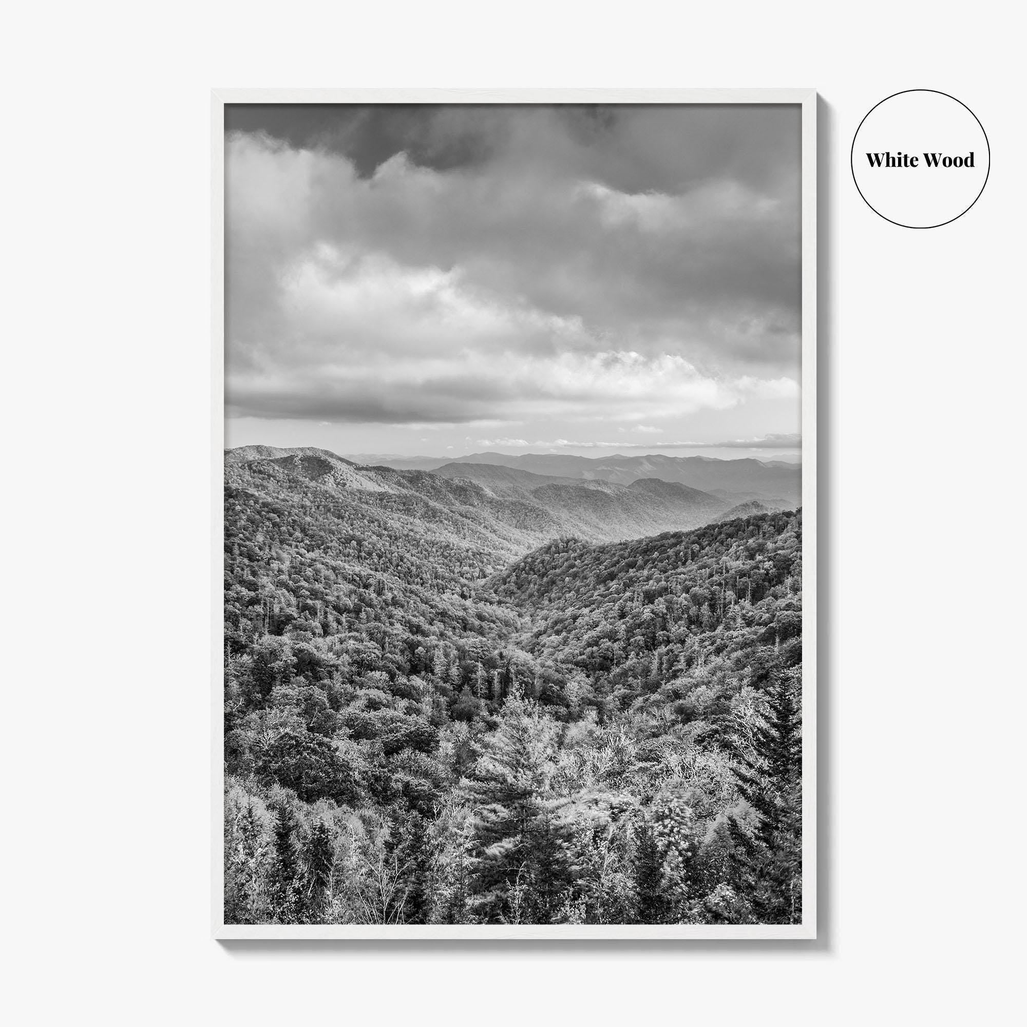 Great Smoky Mountains Black and White Fine Art Photo Print, Tennessee Poster