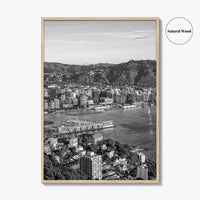 Wellington Skyline Black and White Fine Art Photo Print, Mount Victoria, New Zealand Poster
