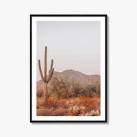 Saguaro National Park Fine Art Photo Print, Tucson Arizona, Sonoran Desert Poster USA