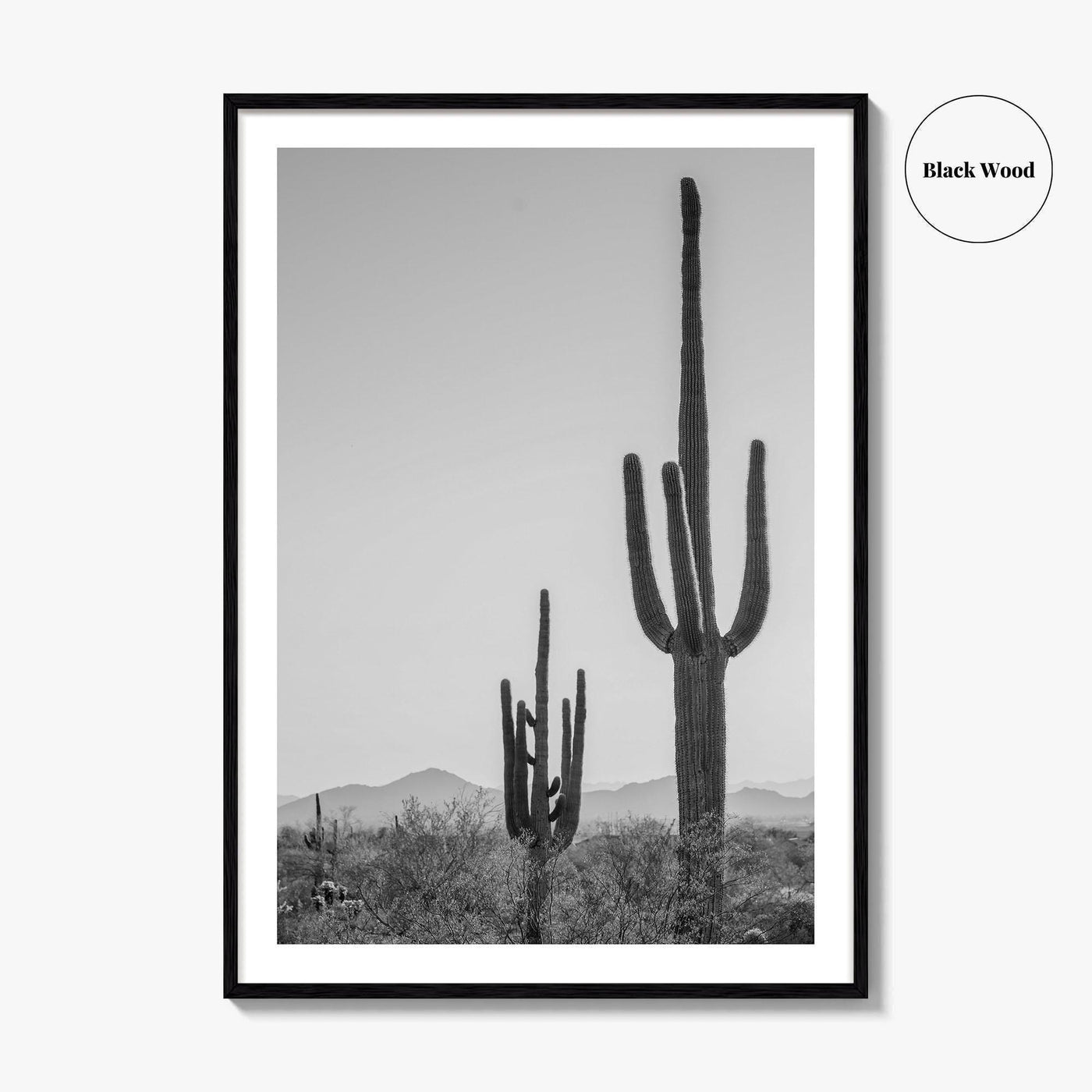 Saguaro National Park Black and White Fine Art Photo Print, Tucson Arizona Desert Poster