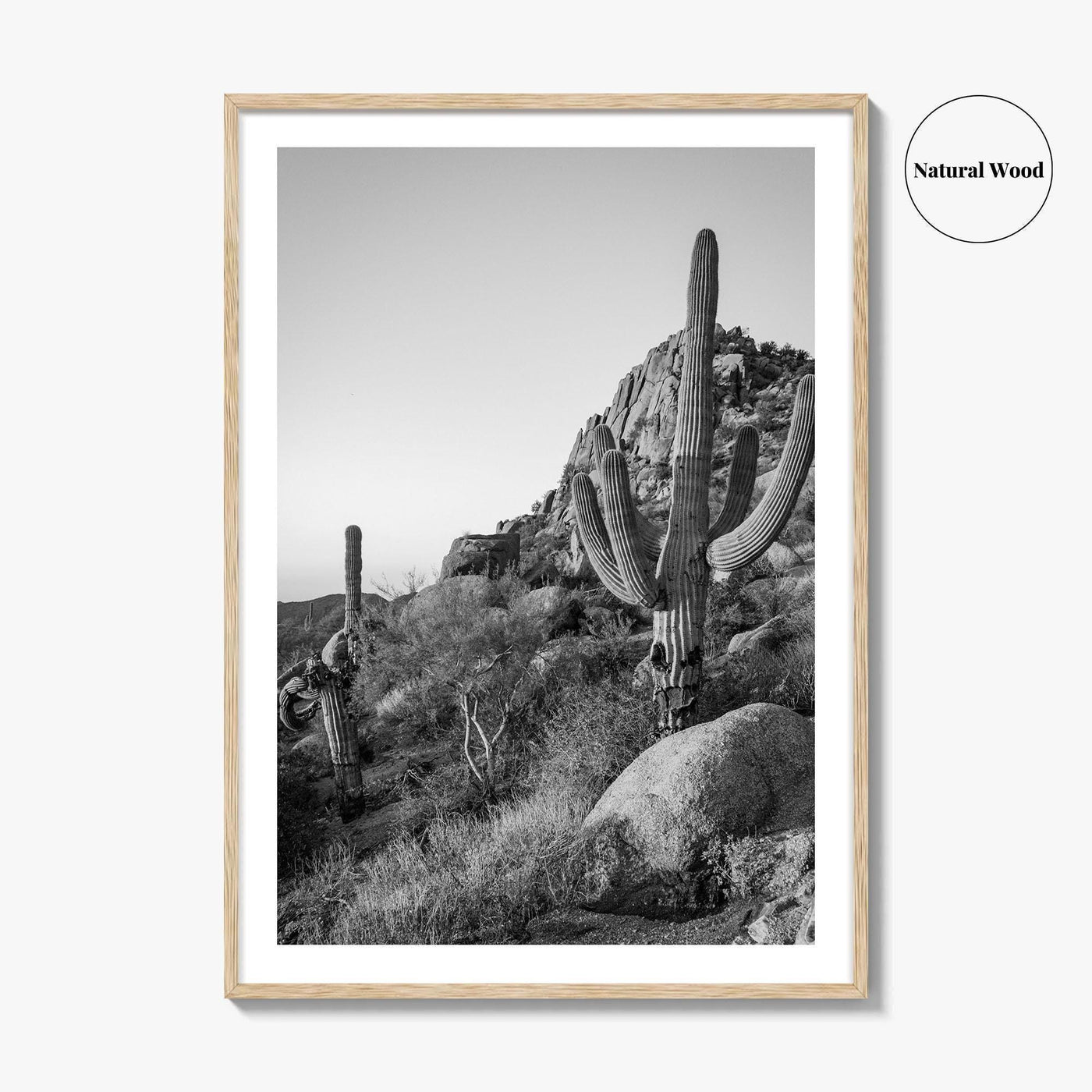 Scottsdale Black and White Fine Art Photo Print, Pinnacle Peak Arizona Poster