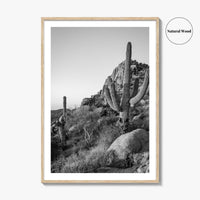 Scottsdale Black and White Fine Art Photo Print, Pinnacle Peak Arizona Poster