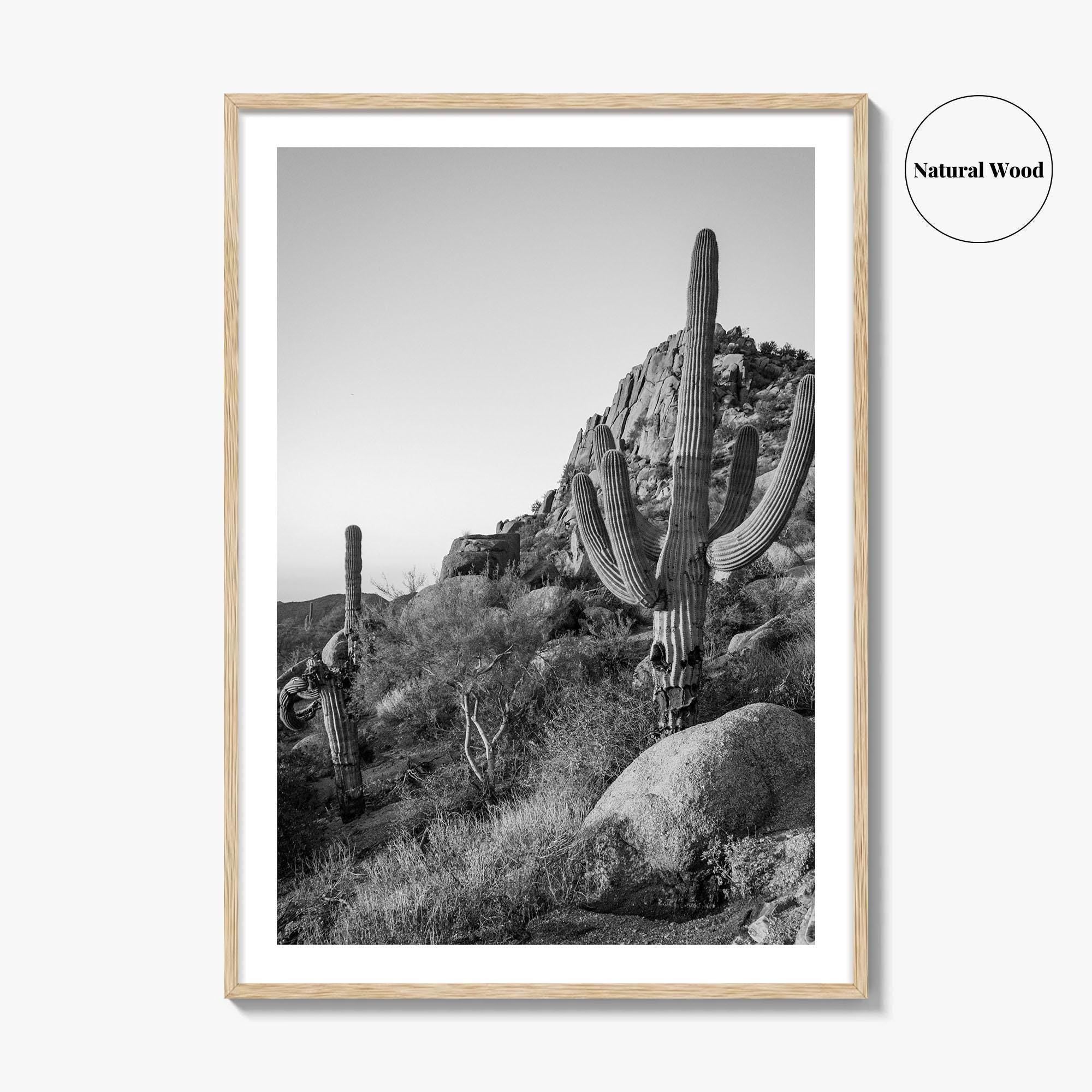 Scottsdale Black and White Fine Art Photo Print, Pinnacle Peak Arizona Poster