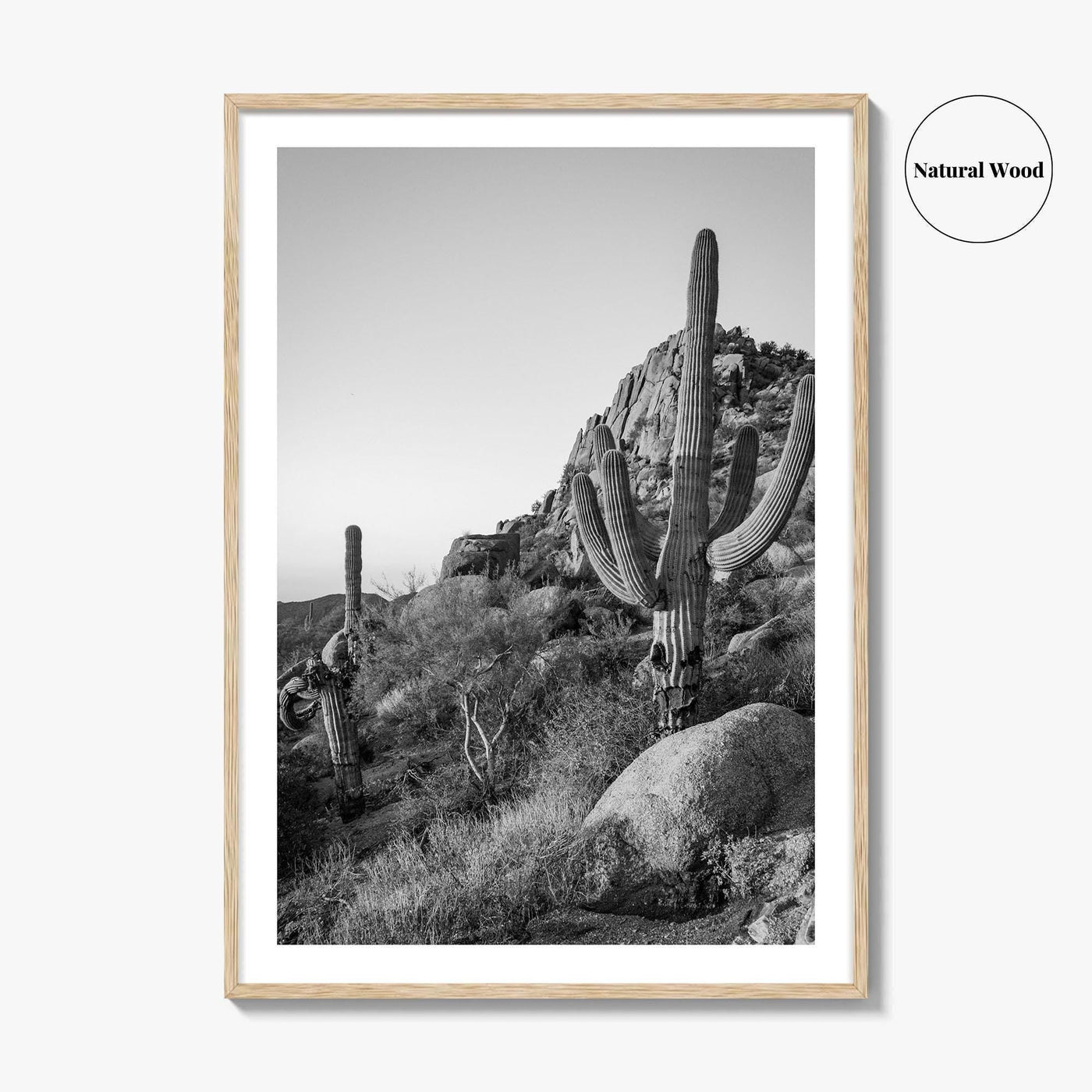 Scottsdale Black and White Fine Art Photo Print, Pinnacle Peak Arizona Poster
