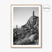 Scottsdale Black and White Fine Art Photo Print, Pinnacle Peak Arizona Poster