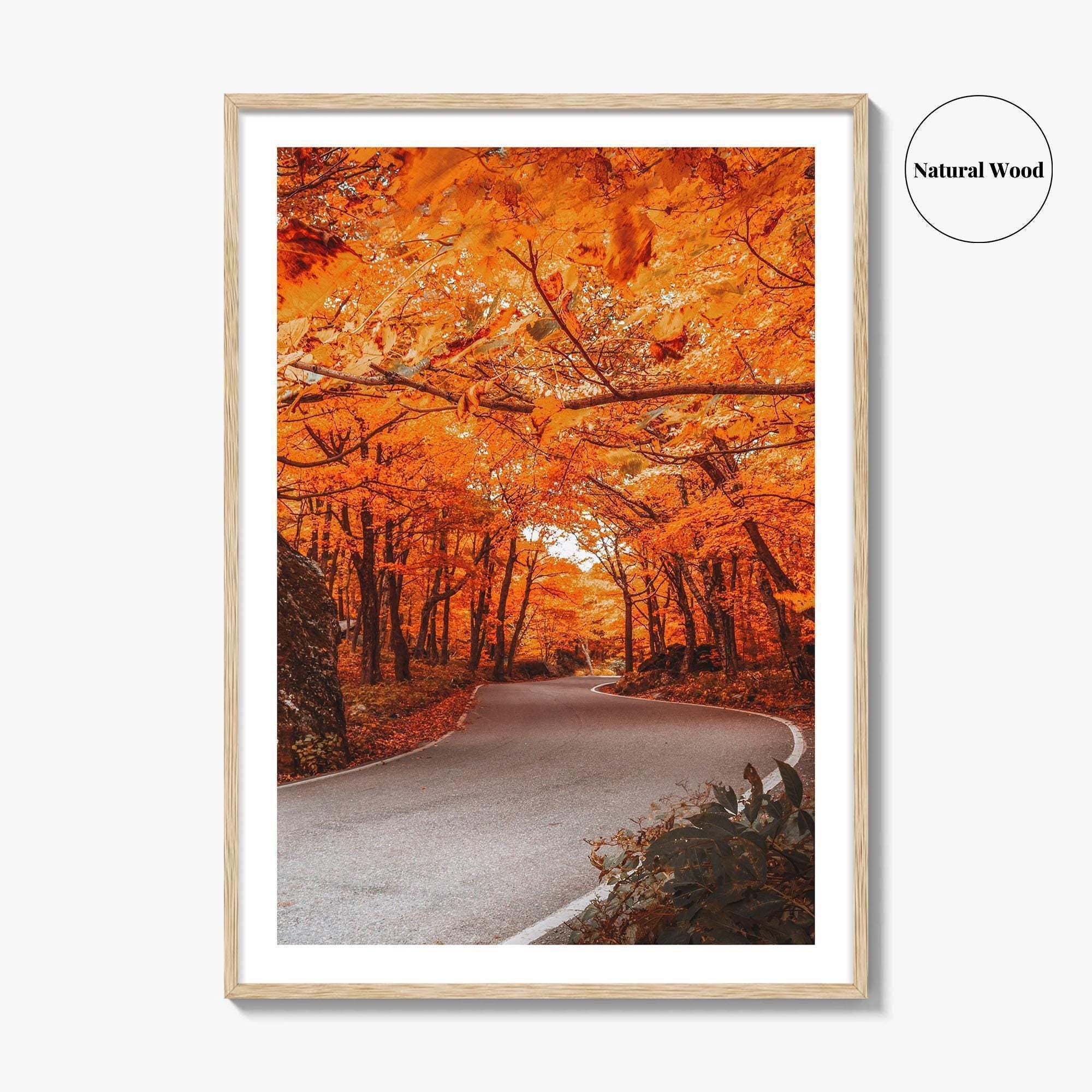 Vermont Fine Art Photo Print, Autumn Foliage, State Park, New England USA, Poster