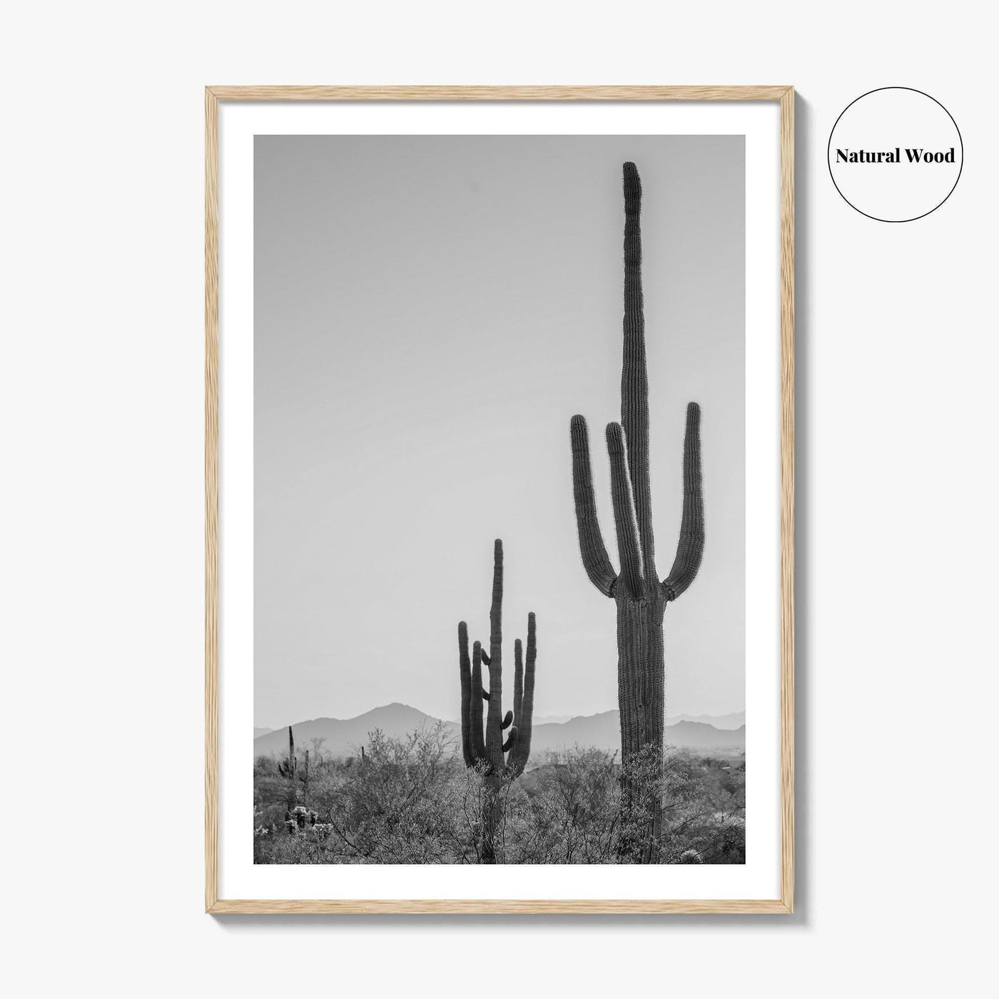 Saguaro National Park Black and White Fine Art Photo Print, Tucson Arizona Desert Poster