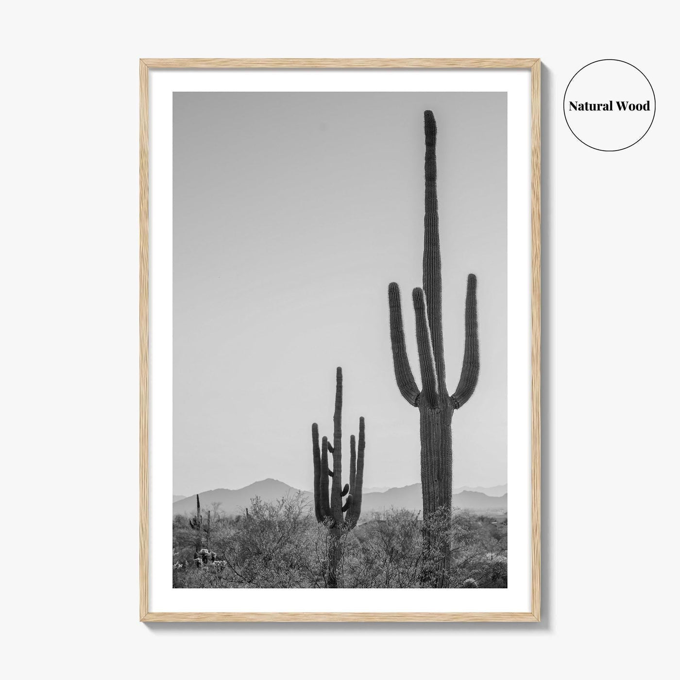 Saguaro National Park Black and White Fine Art Photo Print, Tucson Arizona Desert Poster
