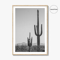 Saguaro National Park Black and White Fine Art Photo Print, Tucson Arizona Desert Poster