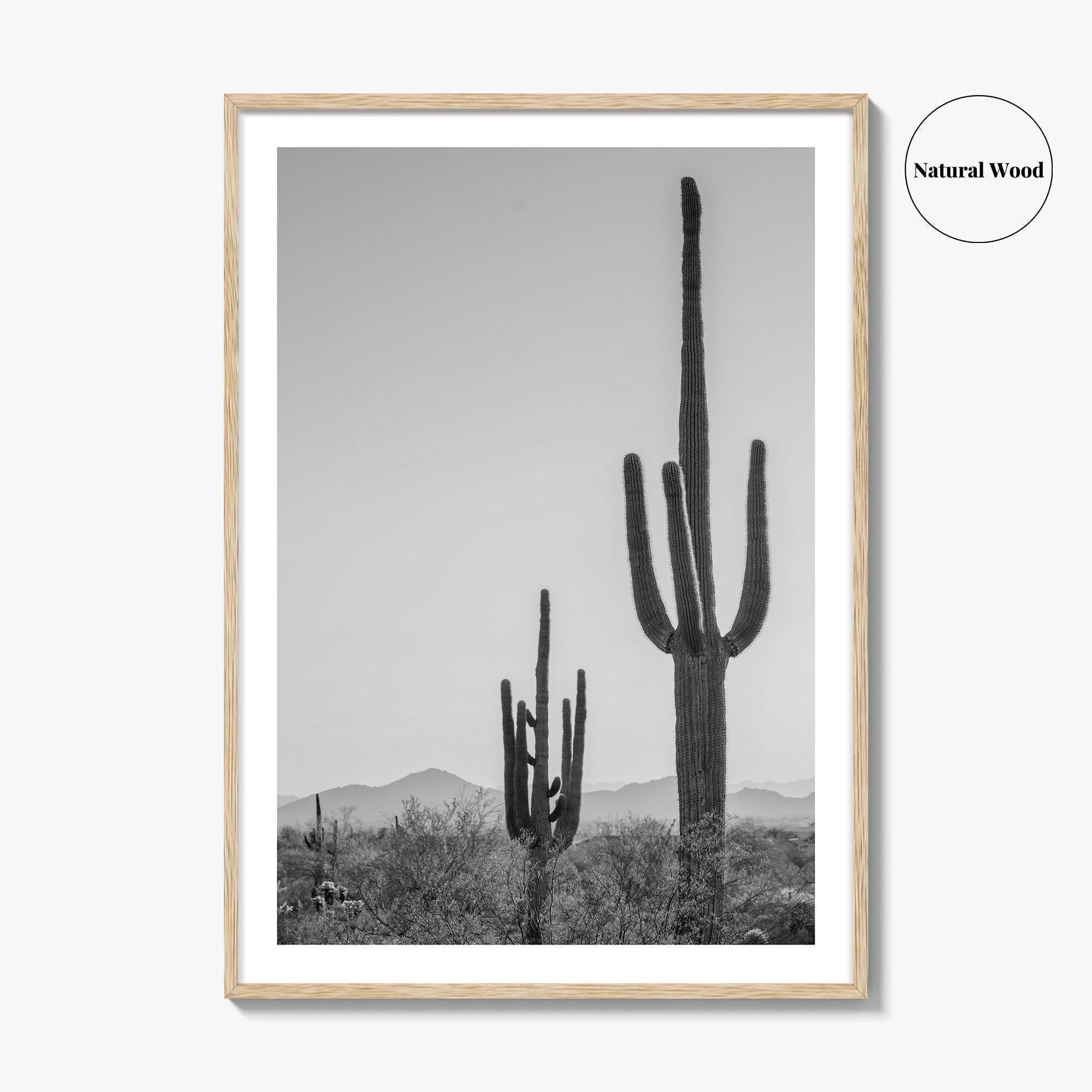 Saguaro National Park Black and White Fine Art Photo Print, Tucson Arizona Desert Poster