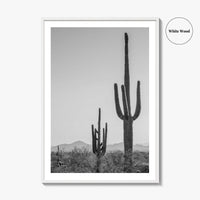 Saguaro National Park Black and White Fine Art Photo Print, Tucson Arizona Desert Poster