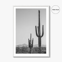Saguaro National Park Black and White Fine Art Photo Print, Tucson Arizona Desert Poster