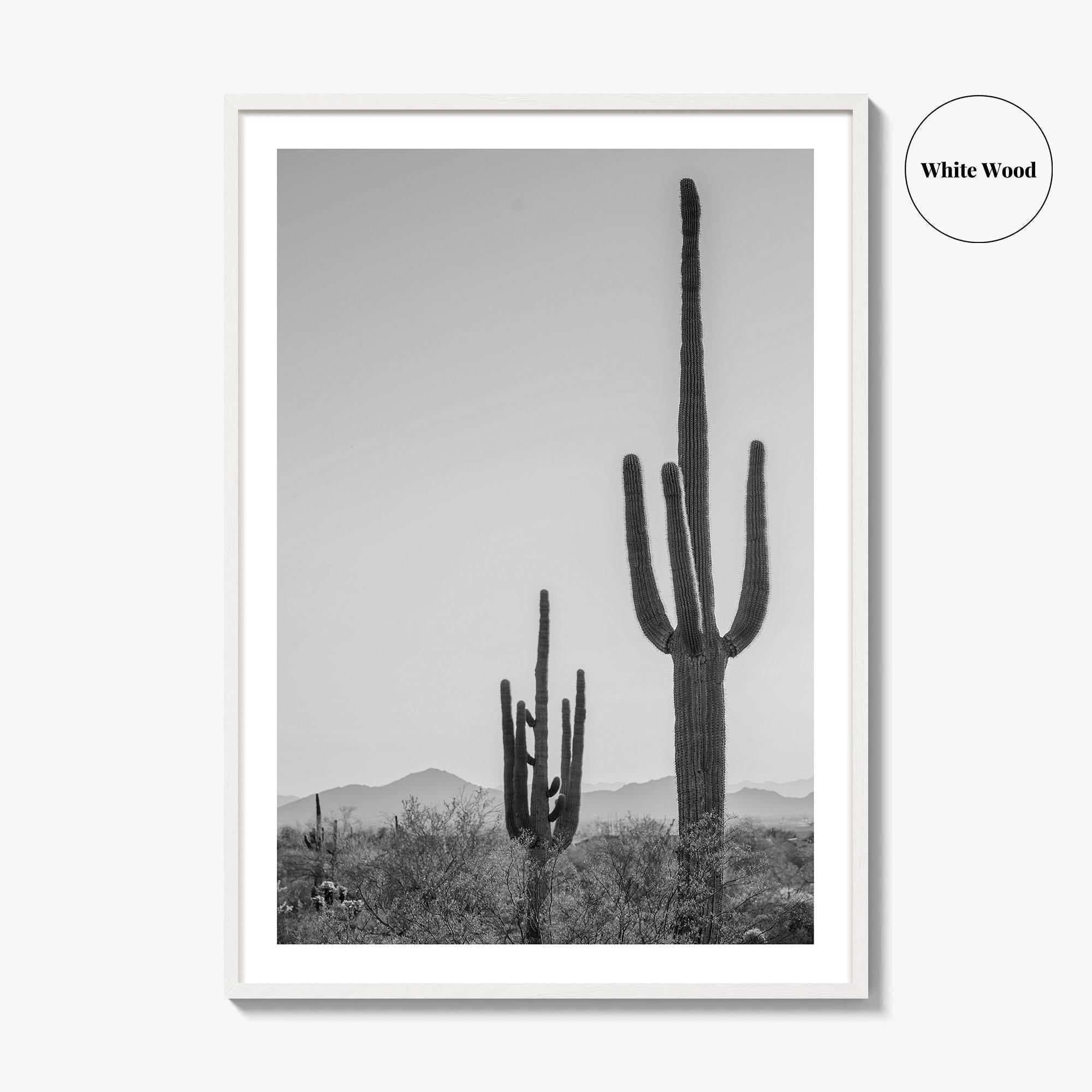 Saguaro National Park Black and White Fine Art Photo Print, Tucson Arizona Desert Poster