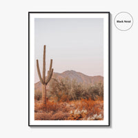 Saguaro National Park Fine Art Photo Print, Tucson Arizona, Sonoran Desert Poster USA