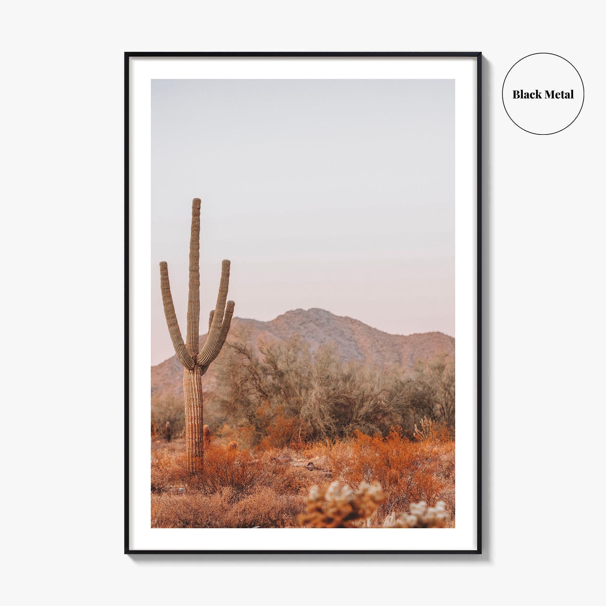 Saguaro National Park Fine Art Photo Print, Tucson Arizona, Sonoran Desert Poster USA