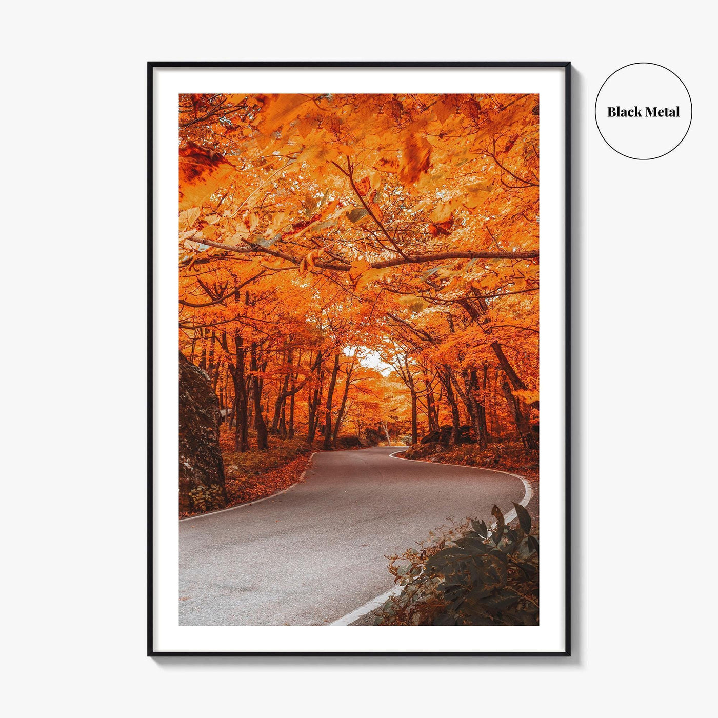 Vermont Fine Art Photo Print, Autumn Foliage, State Park, New England USA, Poster