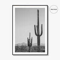Saguaro National Park Black and White Fine Art Photo Print, Tucson Arizona Desert Poster