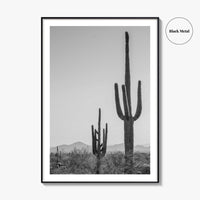 Saguaro National Park Black and White Fine Art Photo Print, Tucson Arizona Desert Poster
