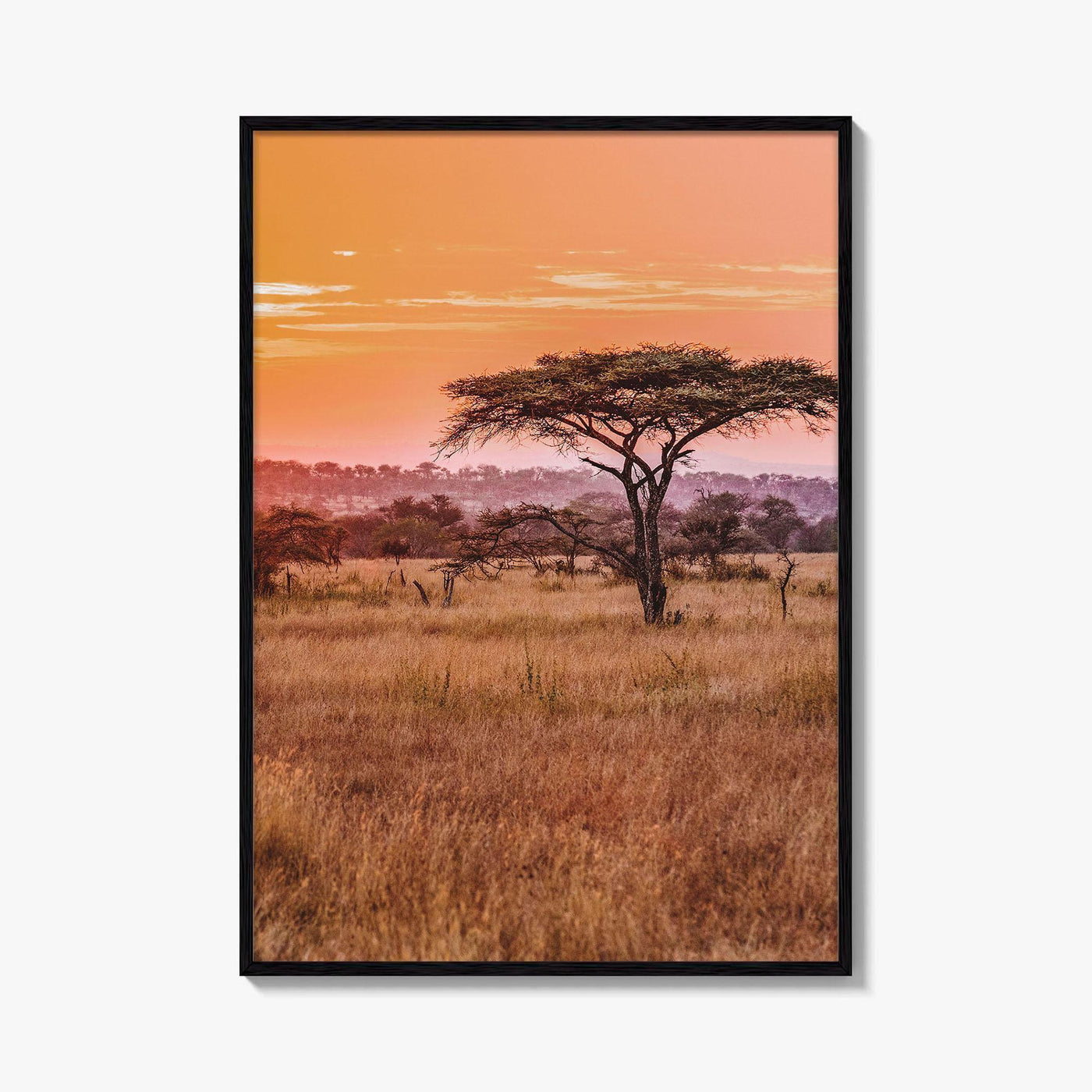 Tanzania Fine Art Photo Print, Serengeti National Park, Wall Poster