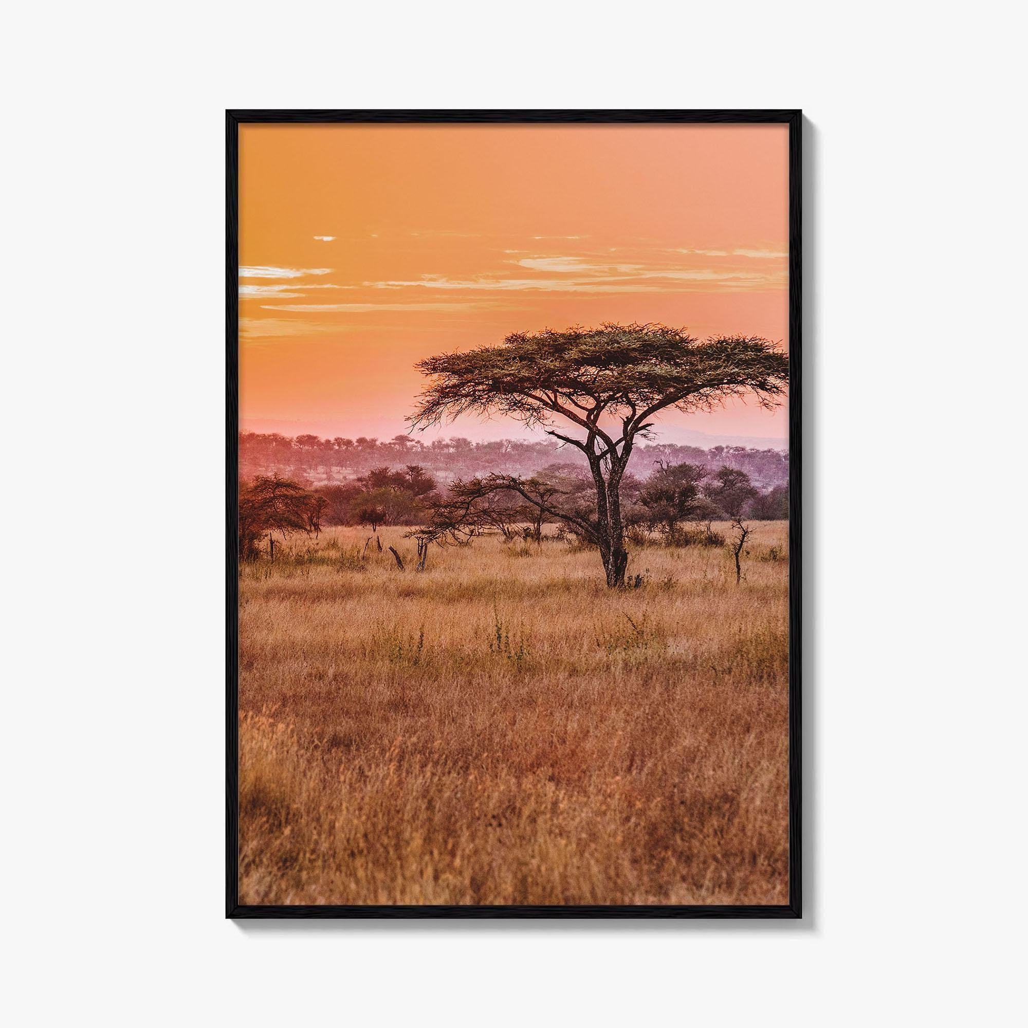 Tanzania Fine Art Photo Print, Serengeti National Park, Wall Poster