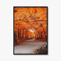 Vermont Fine Art Photo Print, Autumn Foliage, State Park, New England USA, Poster