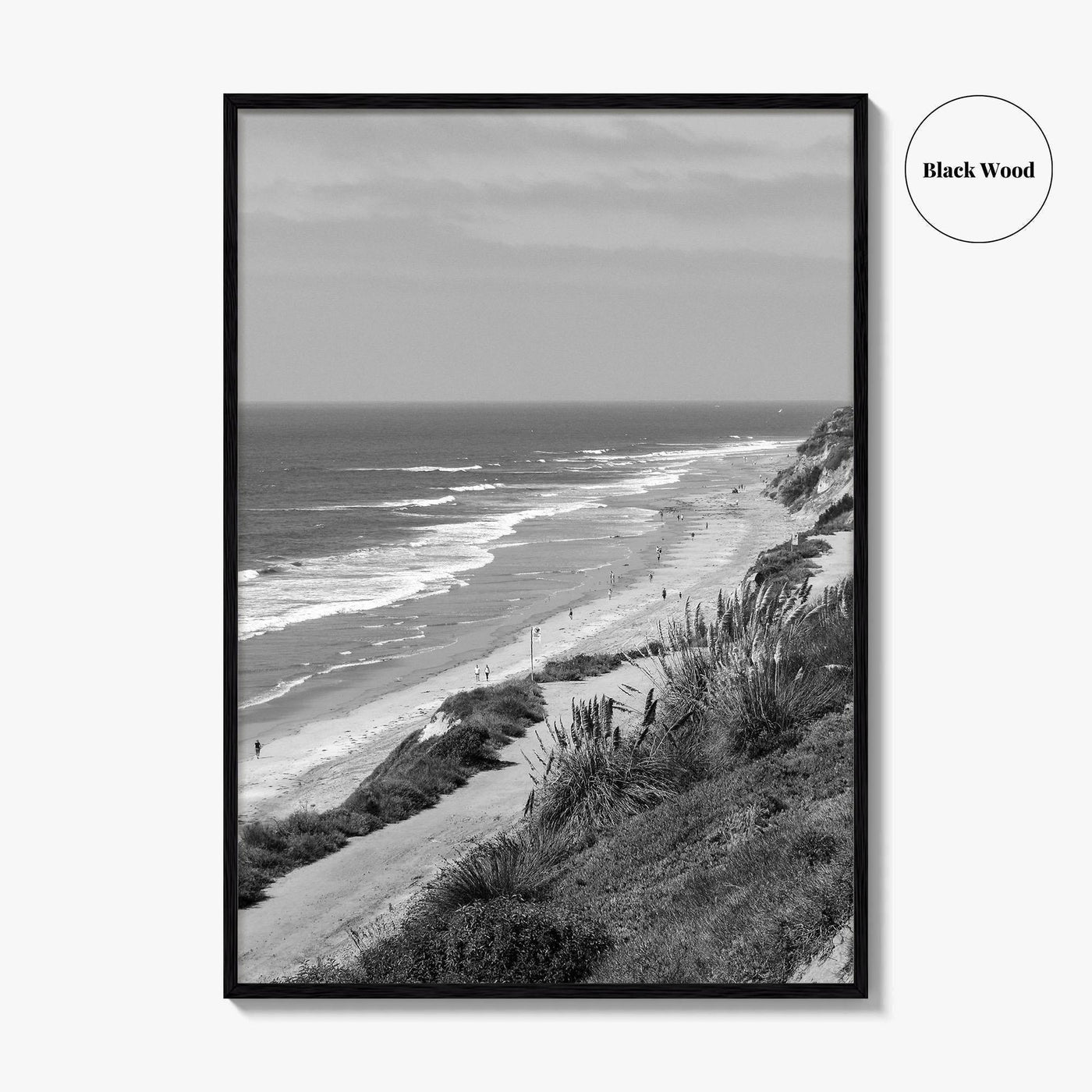 Torrey Pines Black and White Fine Art Photo Print, San Diego Coastline California Poster