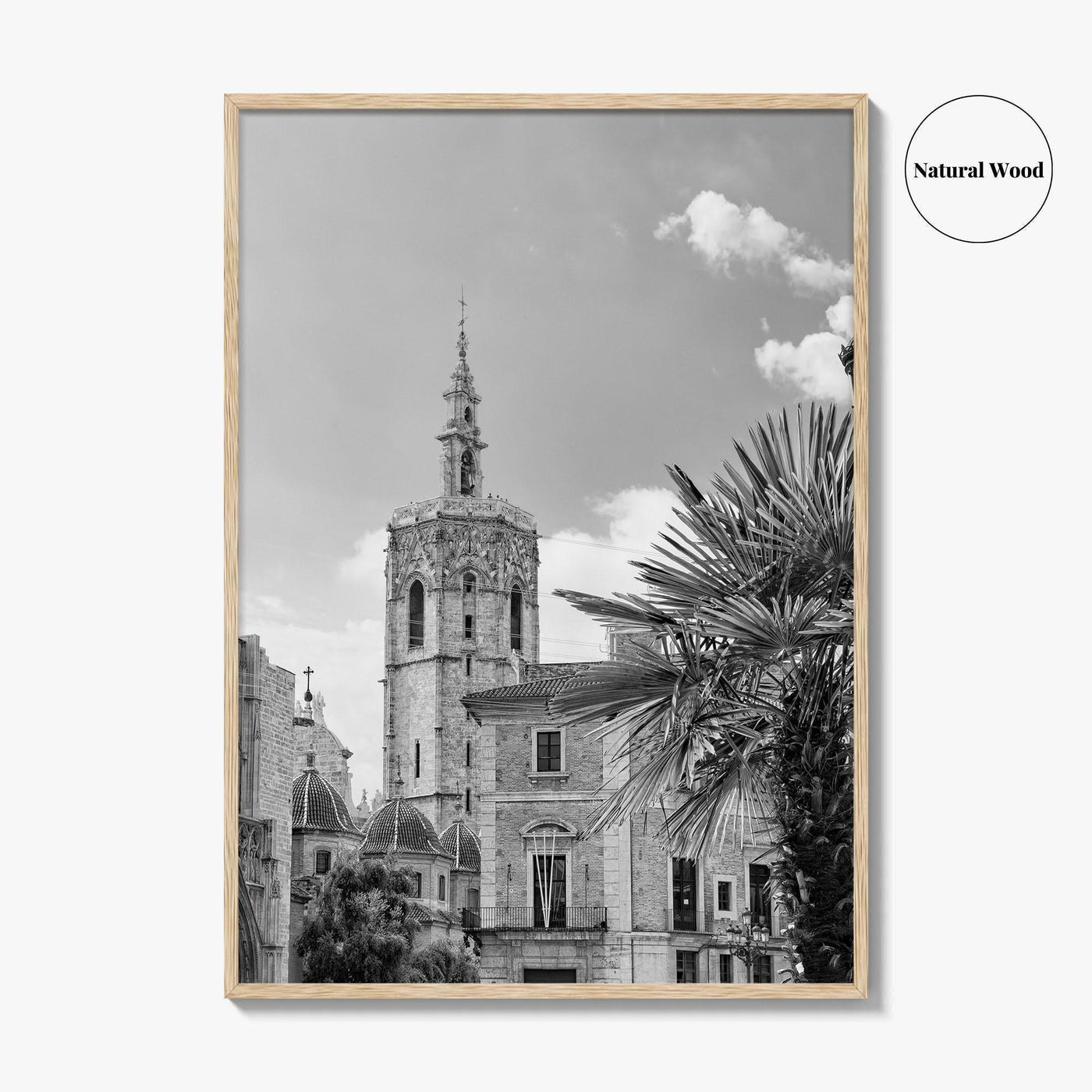 Valencia Black and White Fine Art Photo Print, Plaza de la Virgen Cathedral Poster