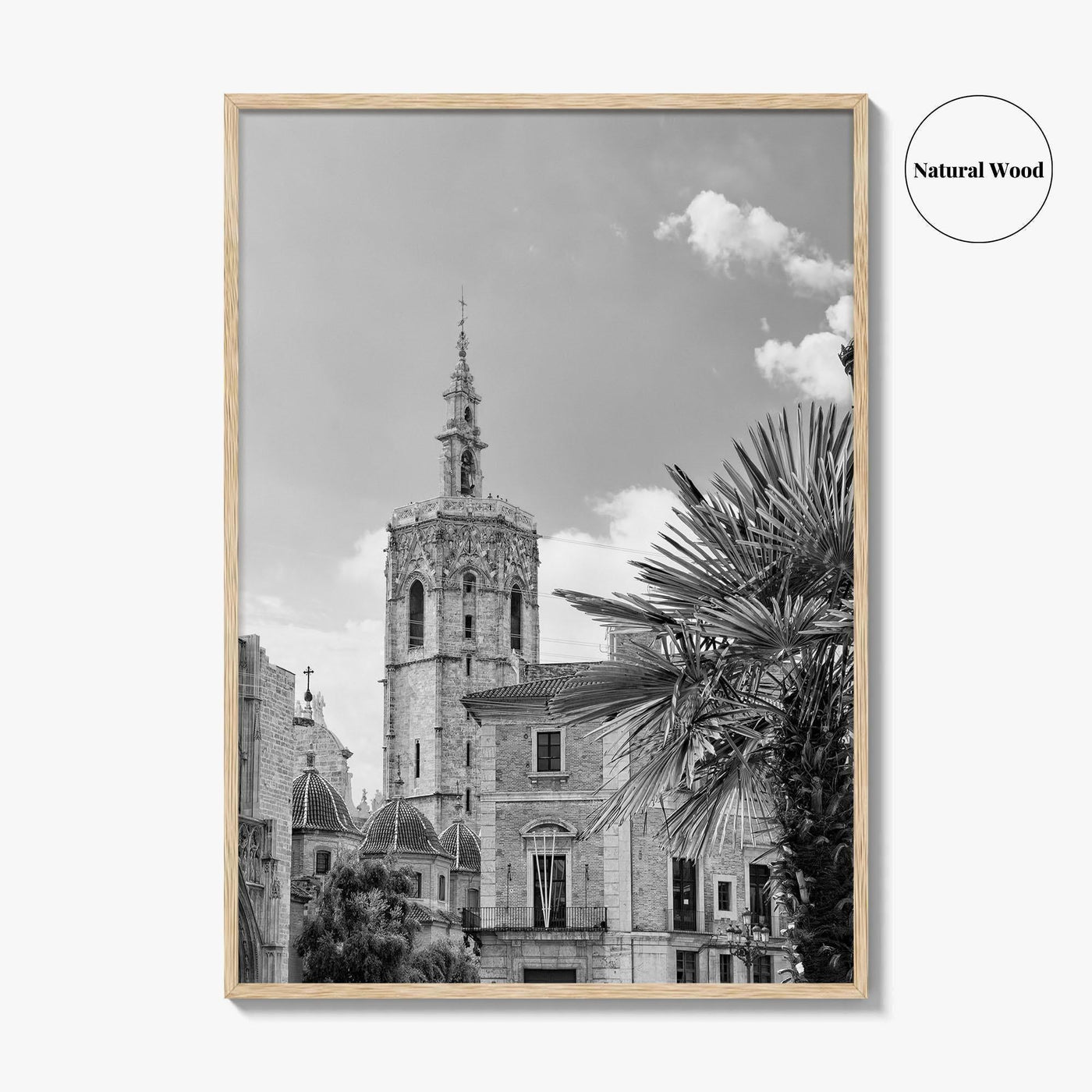 Valencia Black and White Fine Art Photo Print, Plaza de la Virgen Cathedral Poster