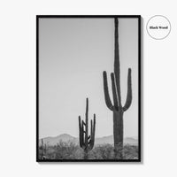 Saguaro National Park Black and White Fine Art Photo Print, Tucson Arizona Desert Poster