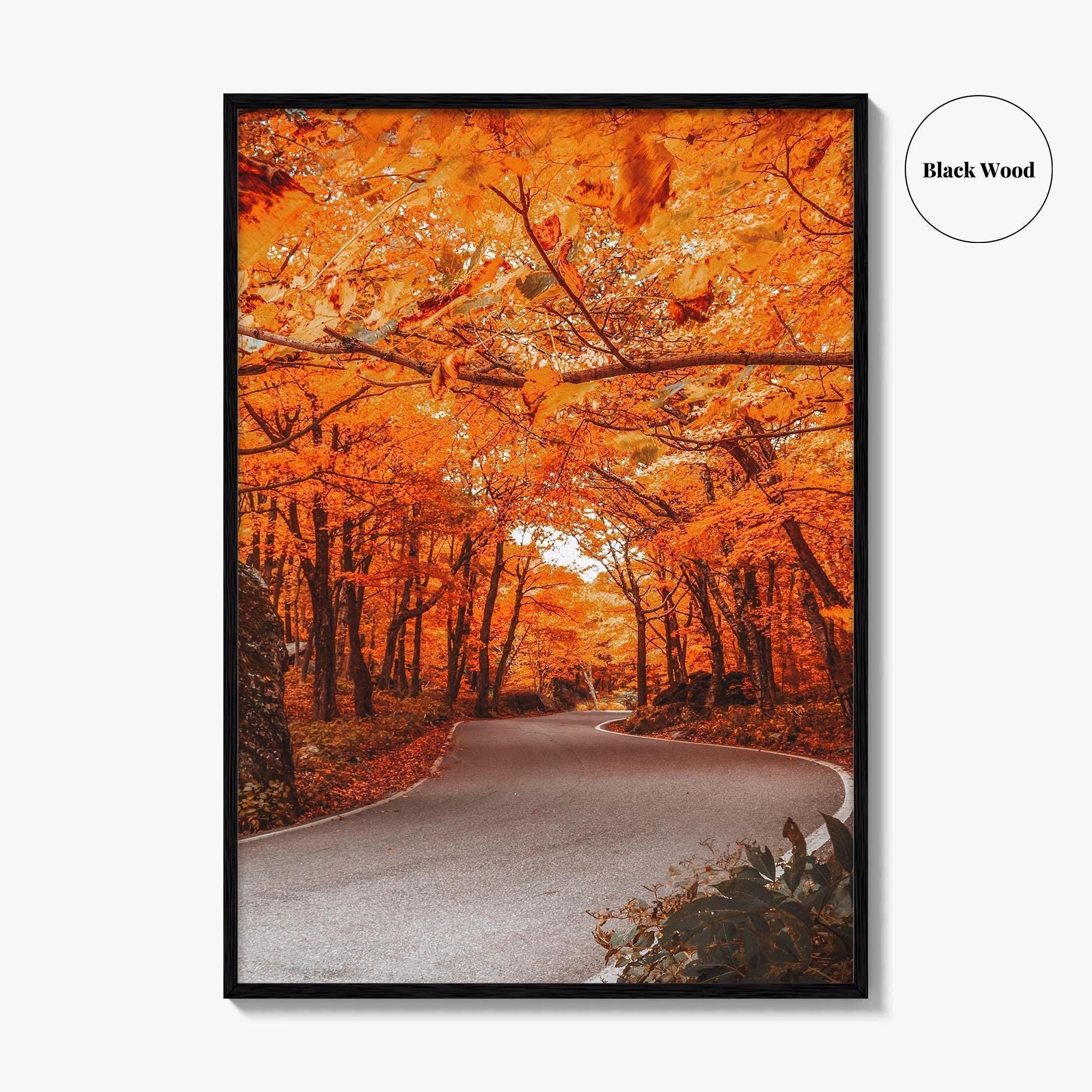 Vermont Fine Art Photo Print, Autumn Foliage, State Park, New England USA, Poster
