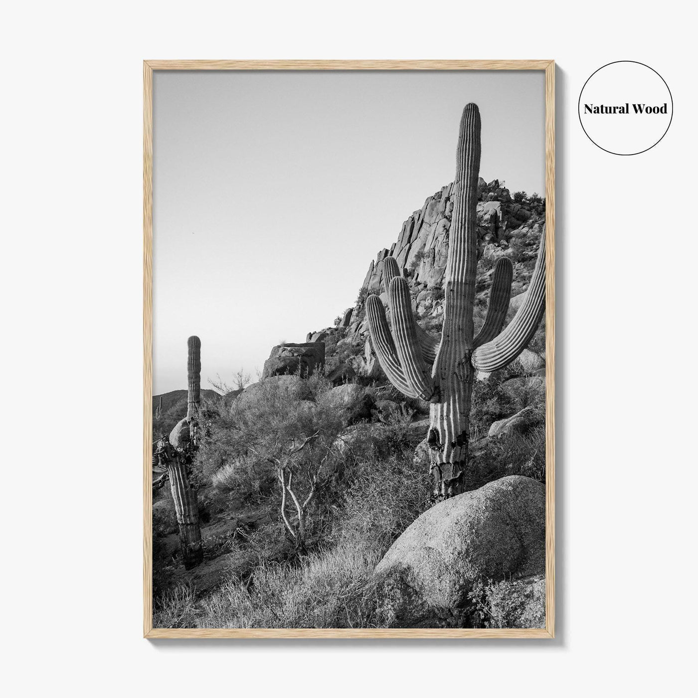 Scottsdale Black and White Fine Art Photo Print, Pinnacle Peak Arizona Poster