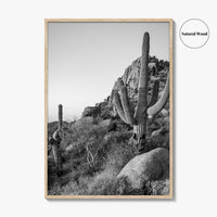 Scottsdale Black and White Fine Art Photo Print, Pinnacle Peak Arizona Poster