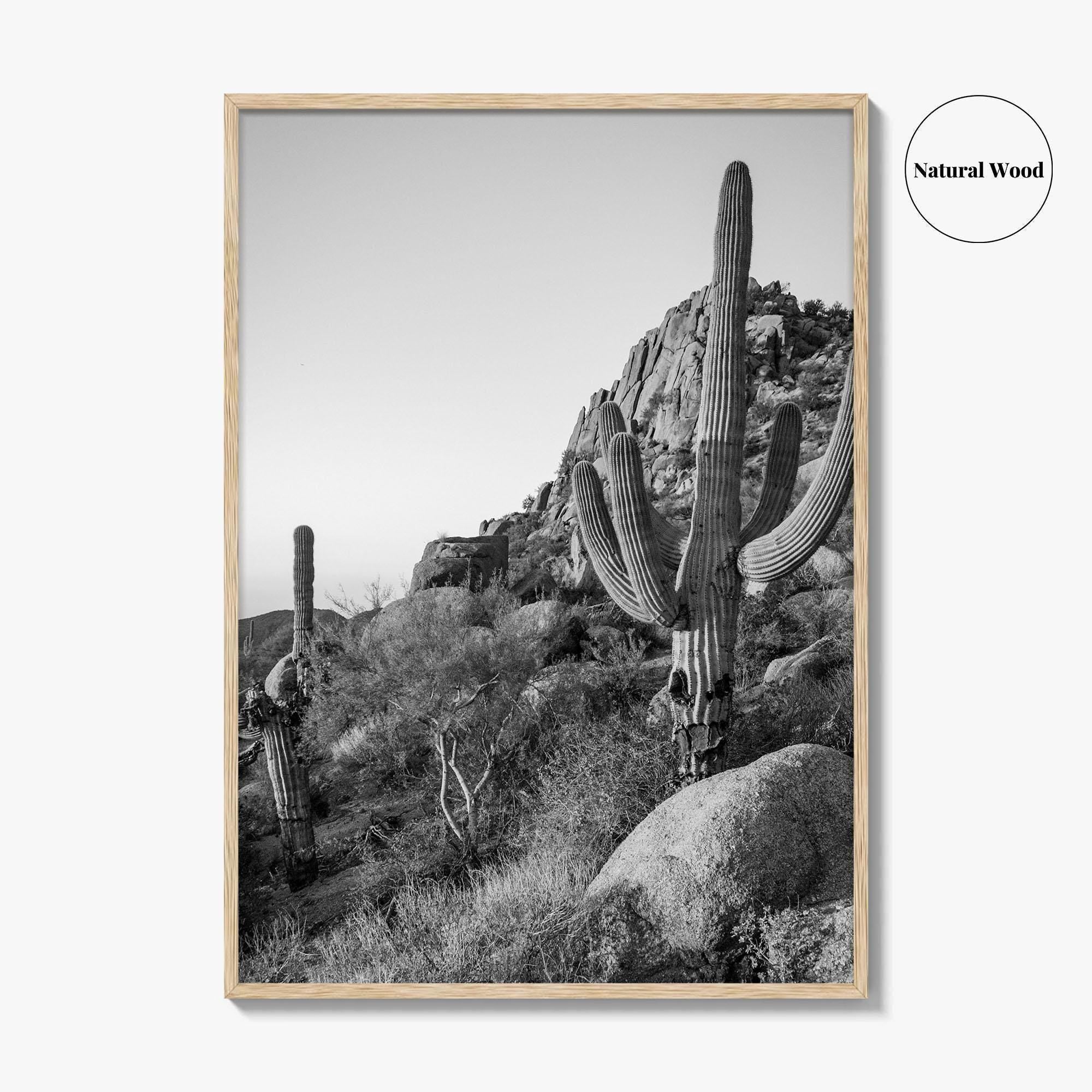 Scottsdale Black and White Fine Art Photo Print, Pinnacle Peak Arizona Poster
