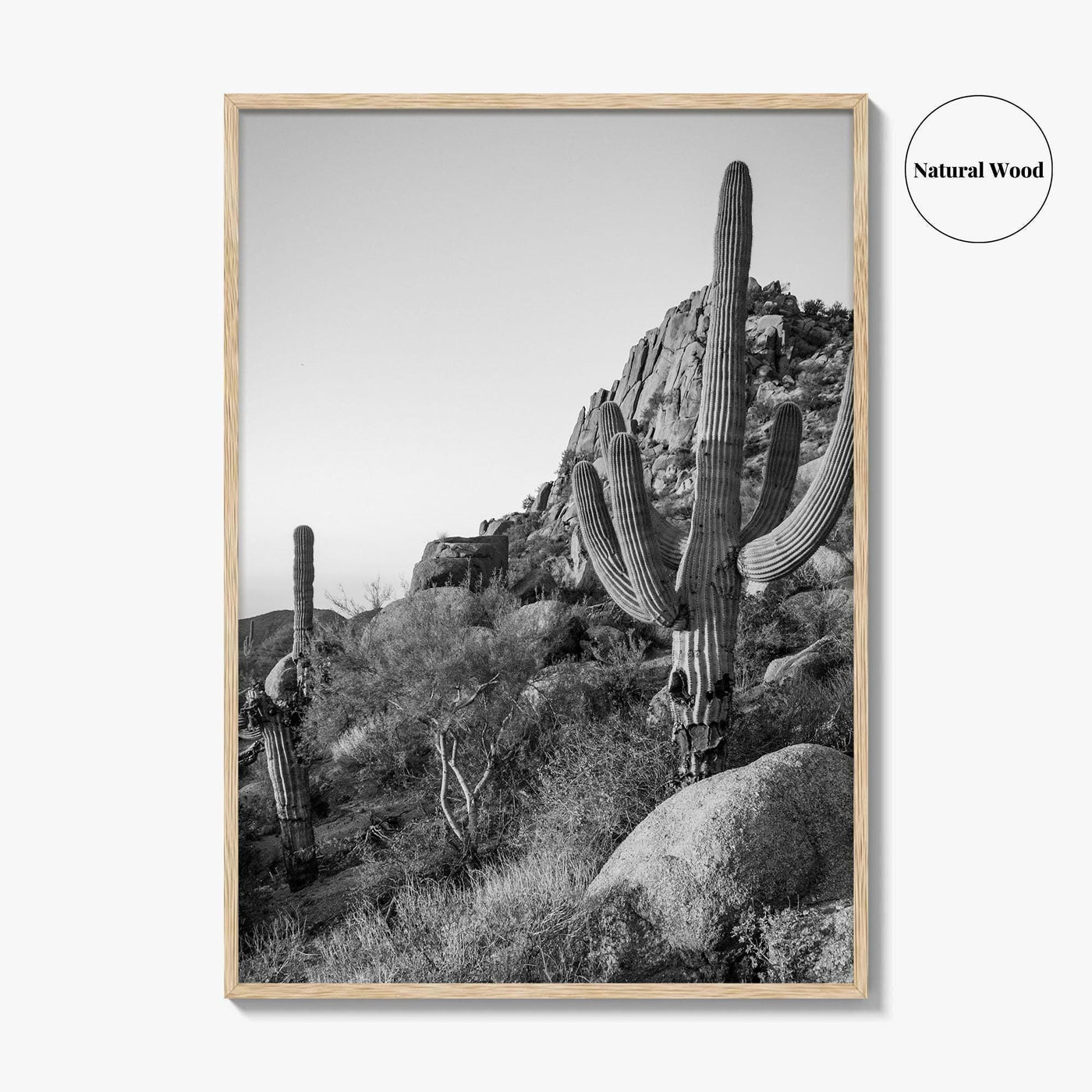 Scottsdale Black and White Fine Art Photo Print, Pinnacle Peak Arizona Poster