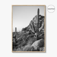 Scottsdale Black and White Fine Art Photo Print, Pinnacle Peak Arizona Poster