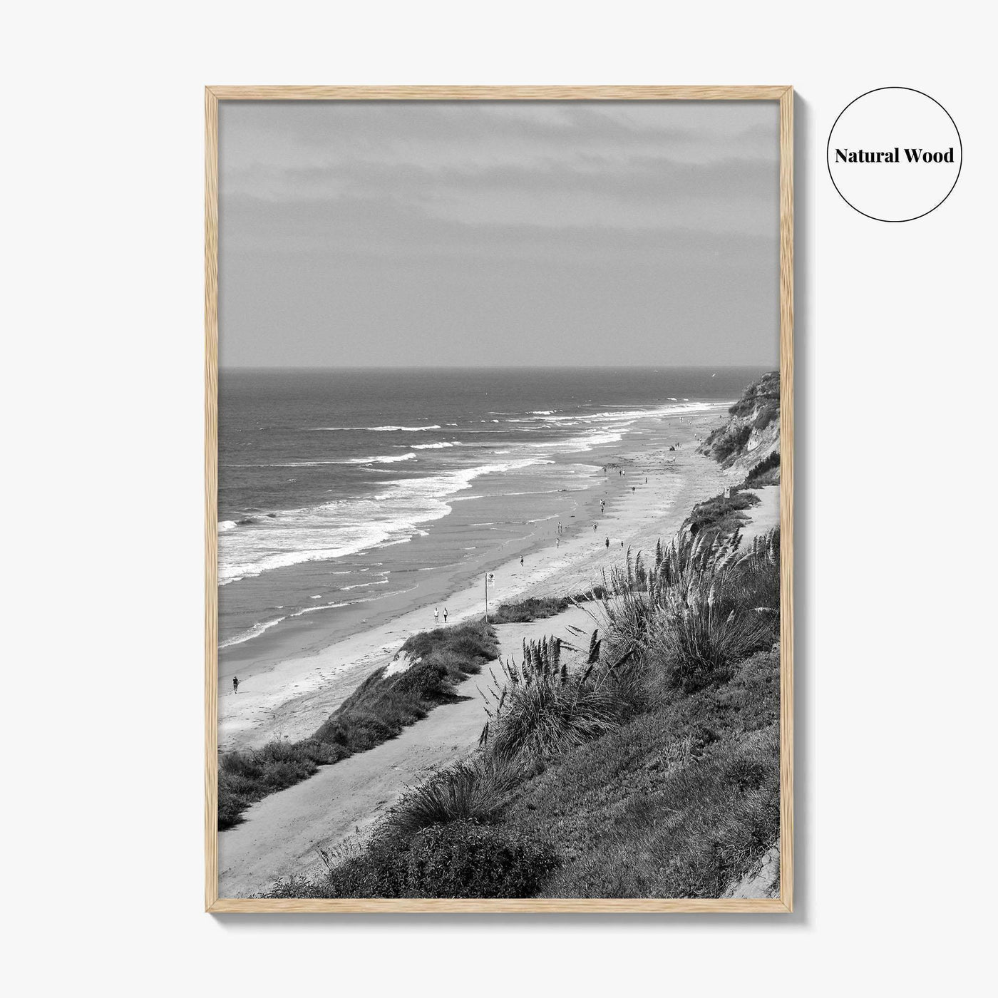 Torrey Pines Black and White Fine Art Photo Print, San Diego Coastline California Poster