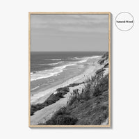 Torrey Pines Black and White Fine Art Photo Print, San Diego Coastline California Poster