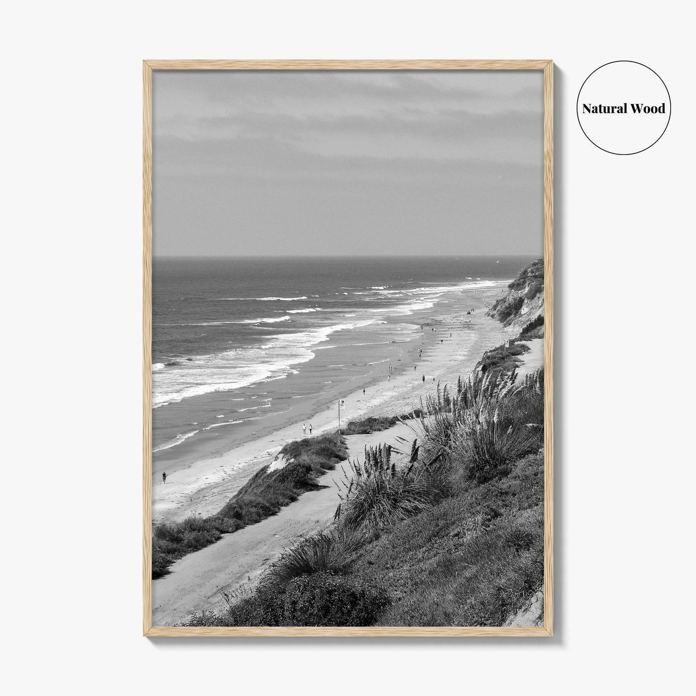 Torrey Pines Black and White Fine Art Photo Print, San Diego Coastline California Poster