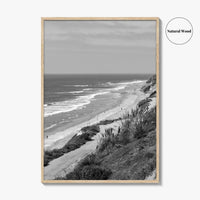 Torrey Pines Black and White Fine Art Photo Print, San Diego Coastline California Poster