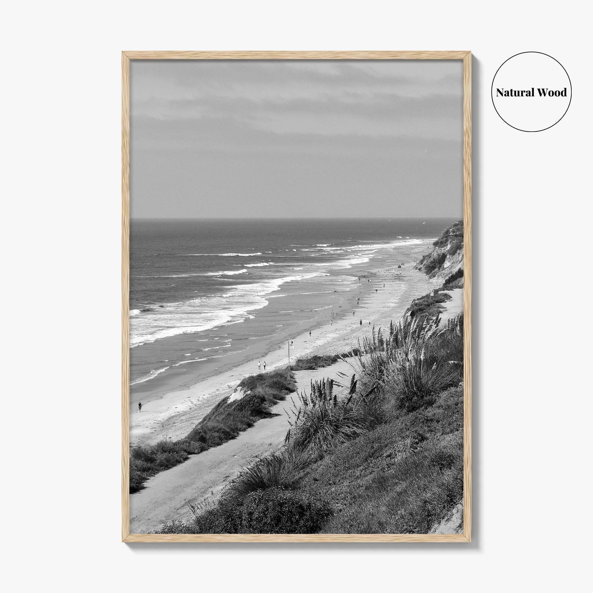 Torrey Pines Black and White Fine Art Photo Print, San Diego Coastline California Poster